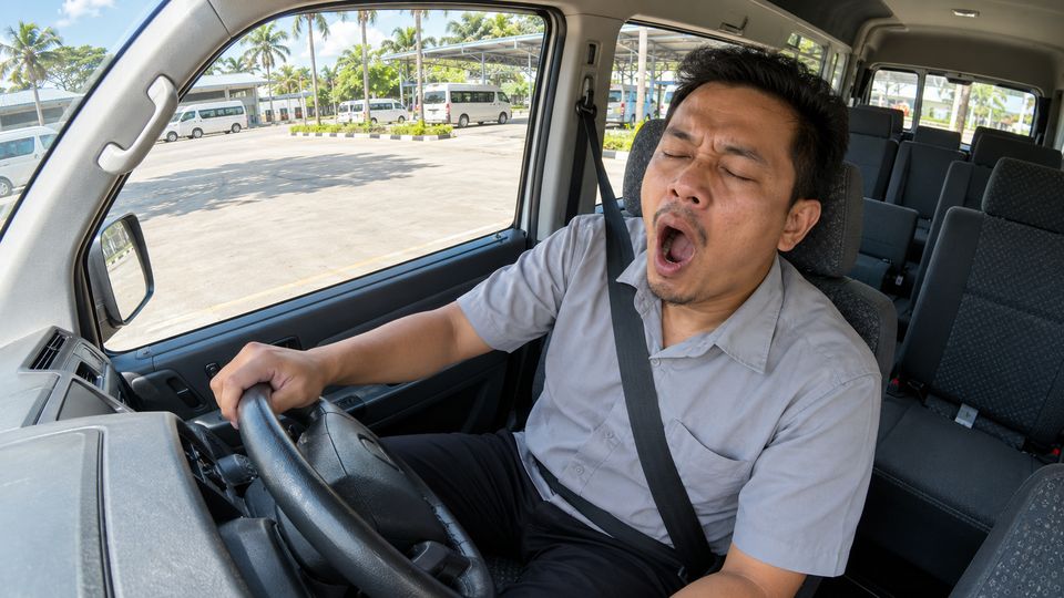 Driver Drowsiness Detection, generated site photo 2 with example AI detections