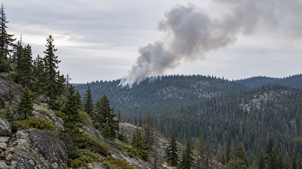 Early Wildfire Smoke Detection with AI detections